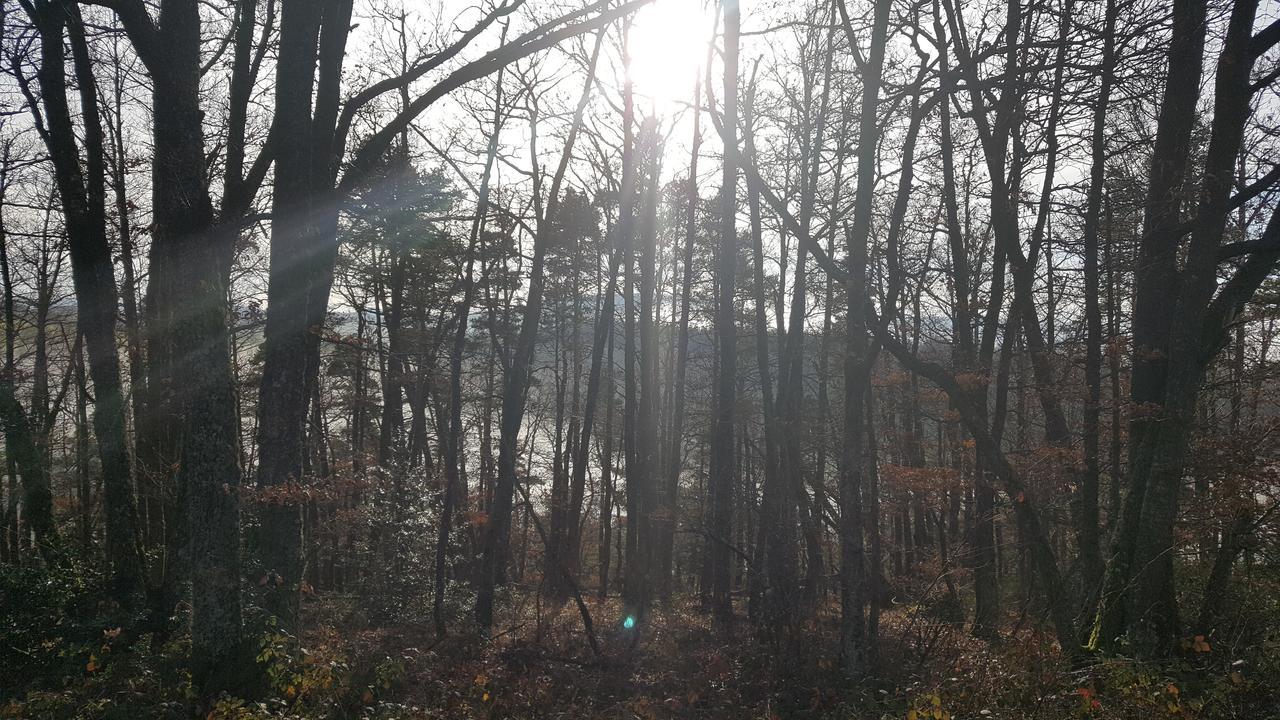 디 오리지널 엑세스 호텔 셍플루흐 생플루르 외부 사진